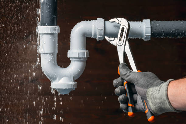 Professional Emergency Plumber technician working in Lerna, IL